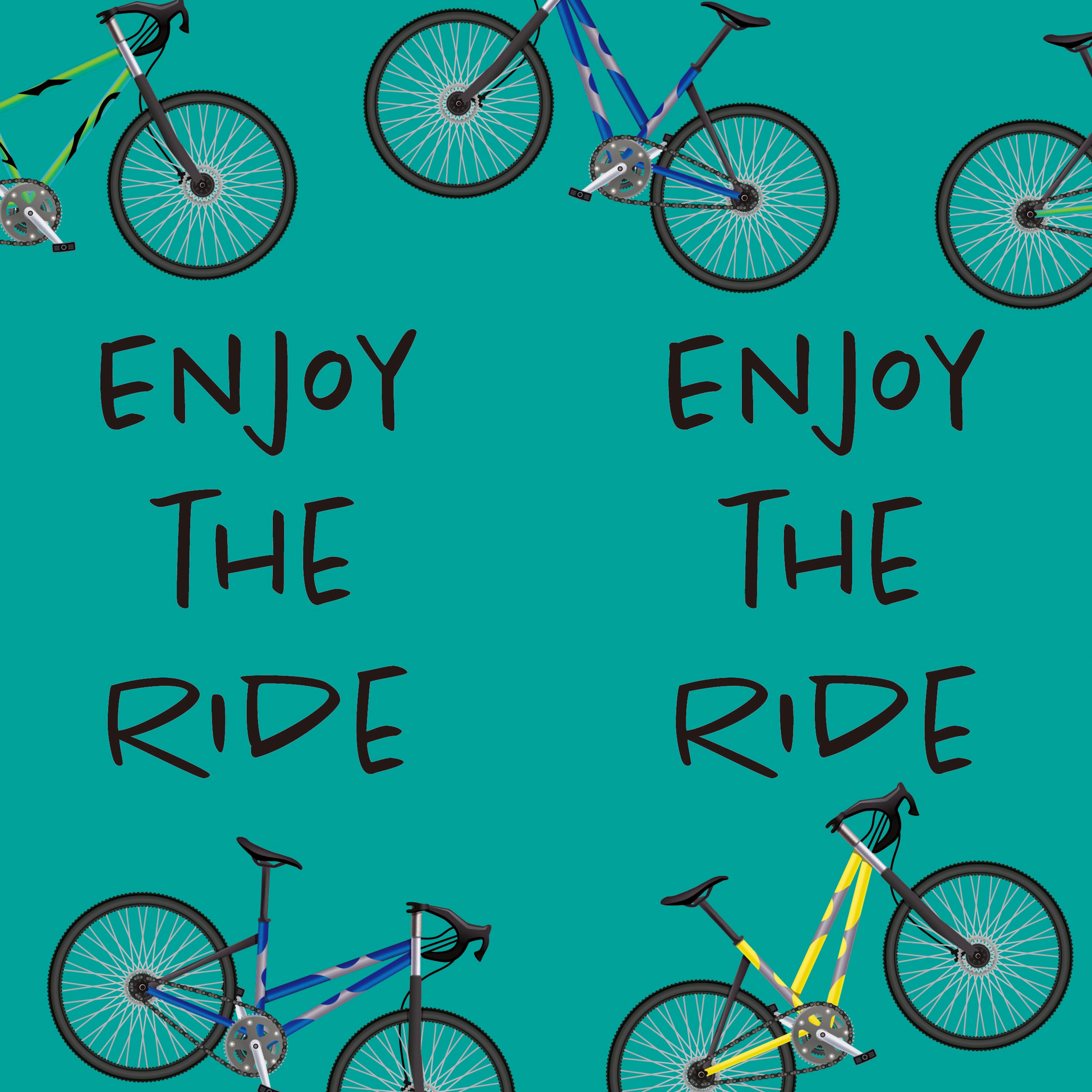 Enjoy the Ride